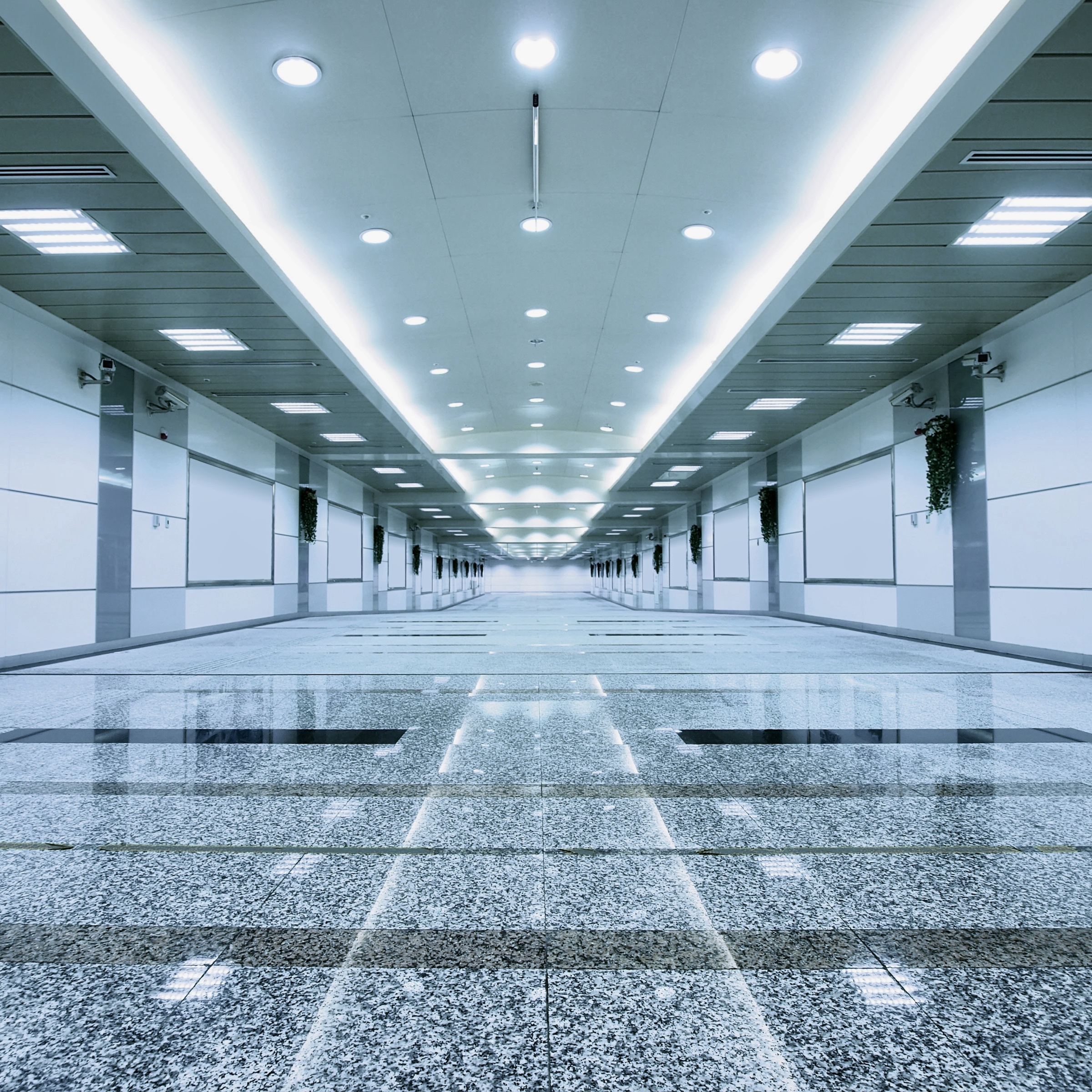 Commercial Wax Recoats Floor Waxing Tcs Floor Care